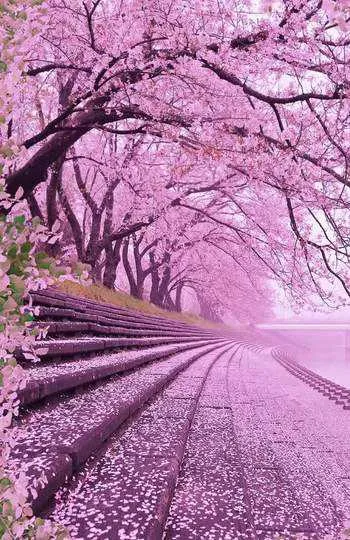 1000013213.webp