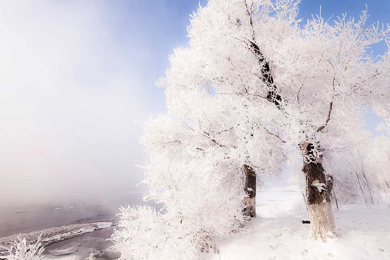 1000013223.webp