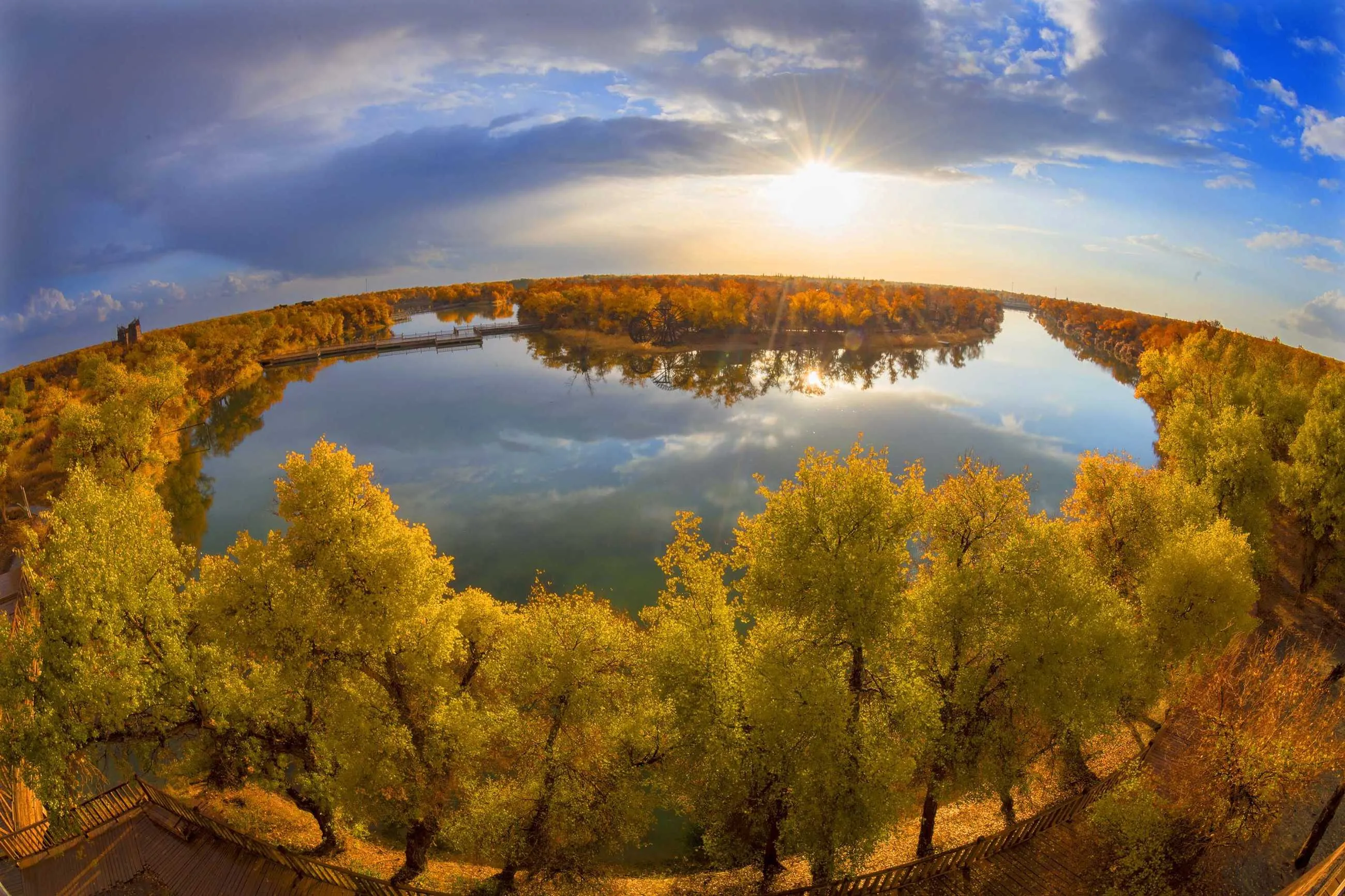 1000013226.webp