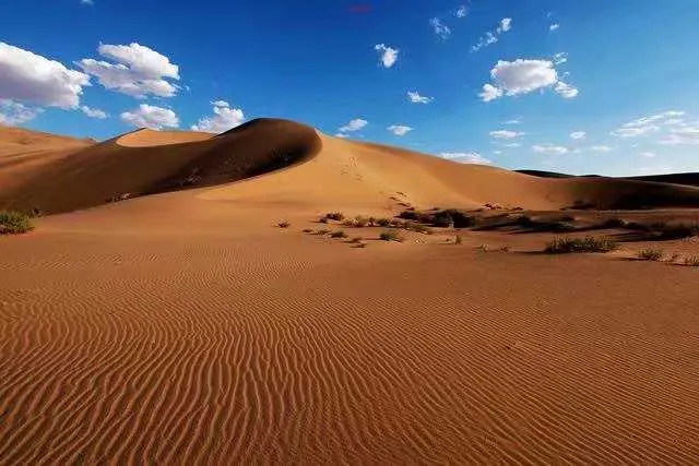 1000013236.webp