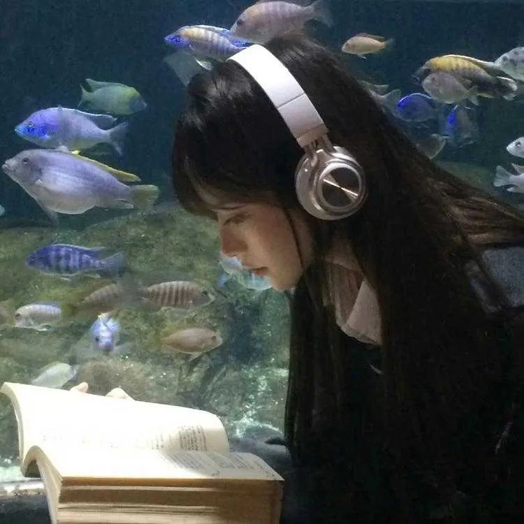1000013461.webp