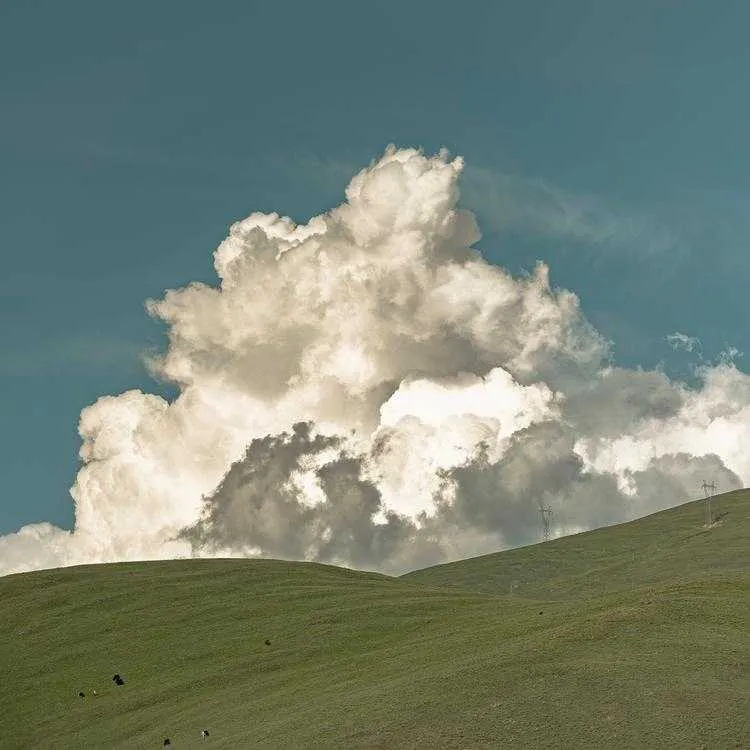 1000013484.webp