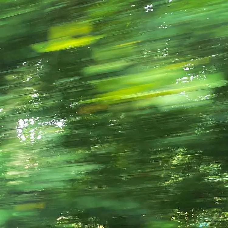 1000013505.webp