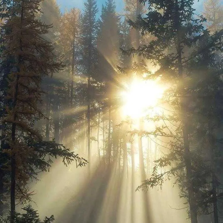 1000013563.webp