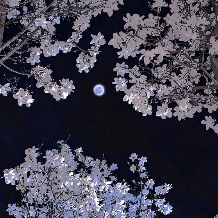 1000013561.webp