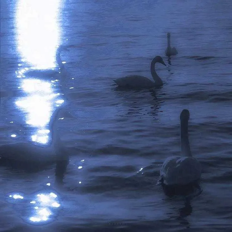 1000013555.webp
