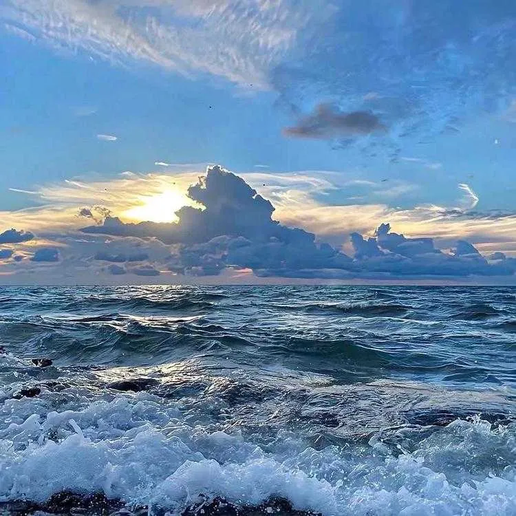 1000013553.webp