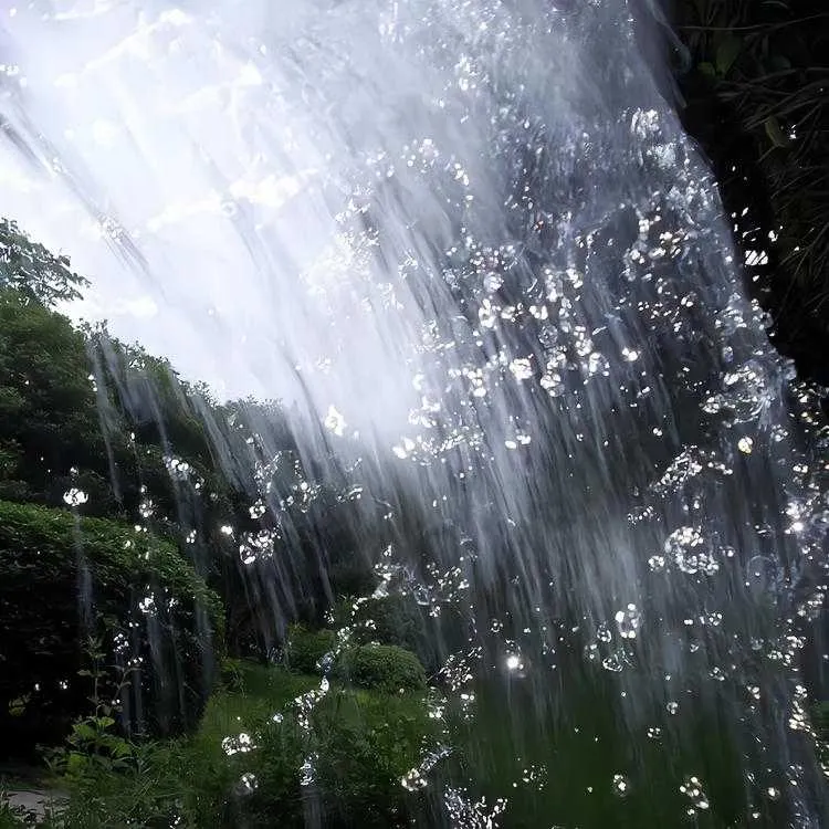 1000013469.webp