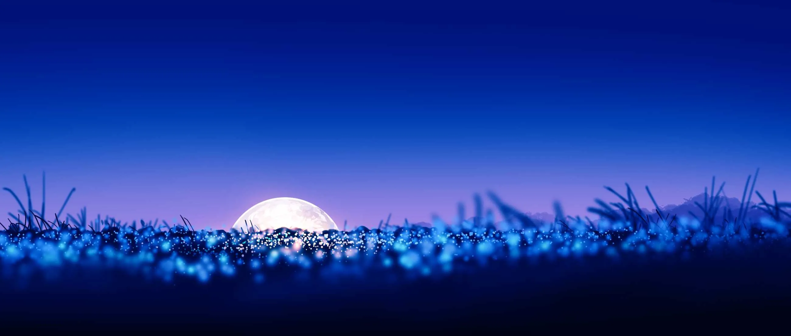 1000013694.webp