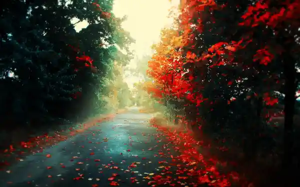 1734871654655.webp