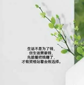 1000007693.webp
