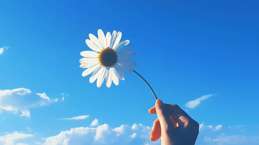 1735081767065.webp