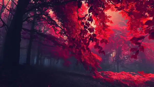 1735102983414.webp