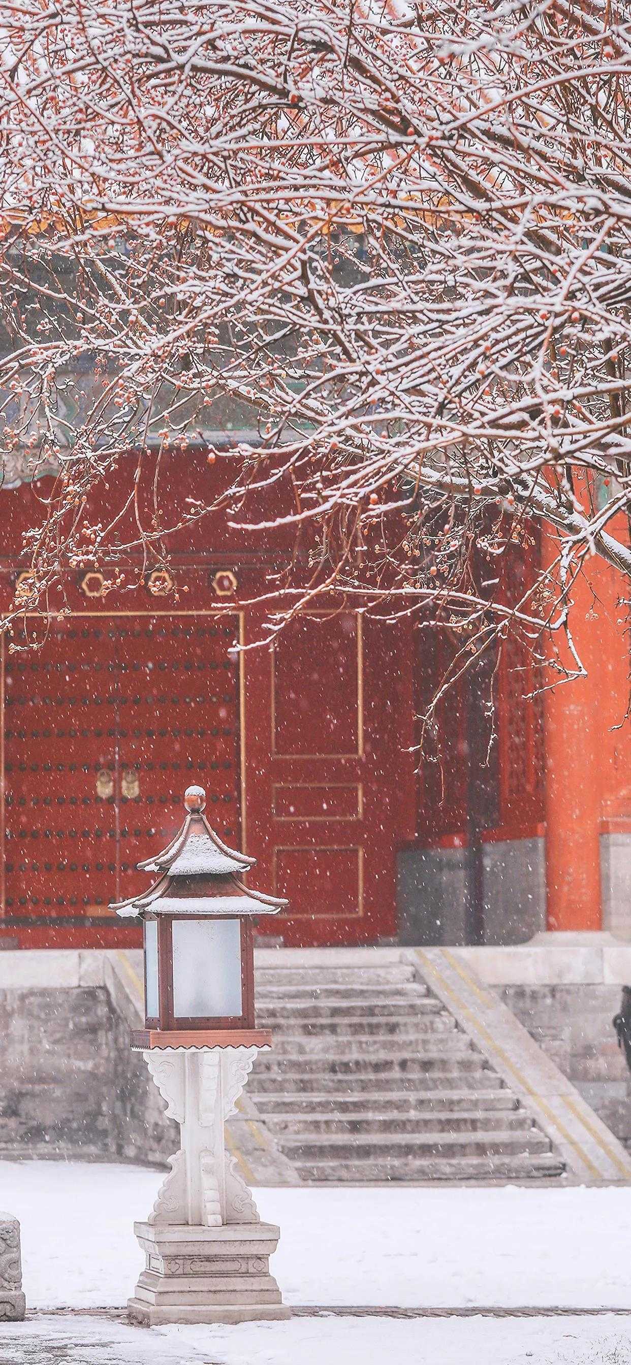 搜图神器_1735122343083.webp