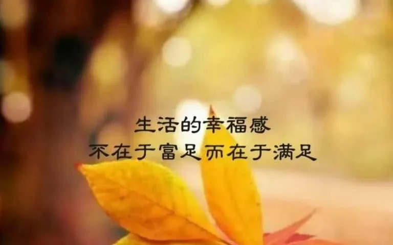 IMG_20241225_205637.webp