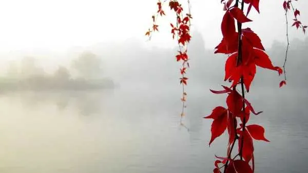 1735081626418.webp