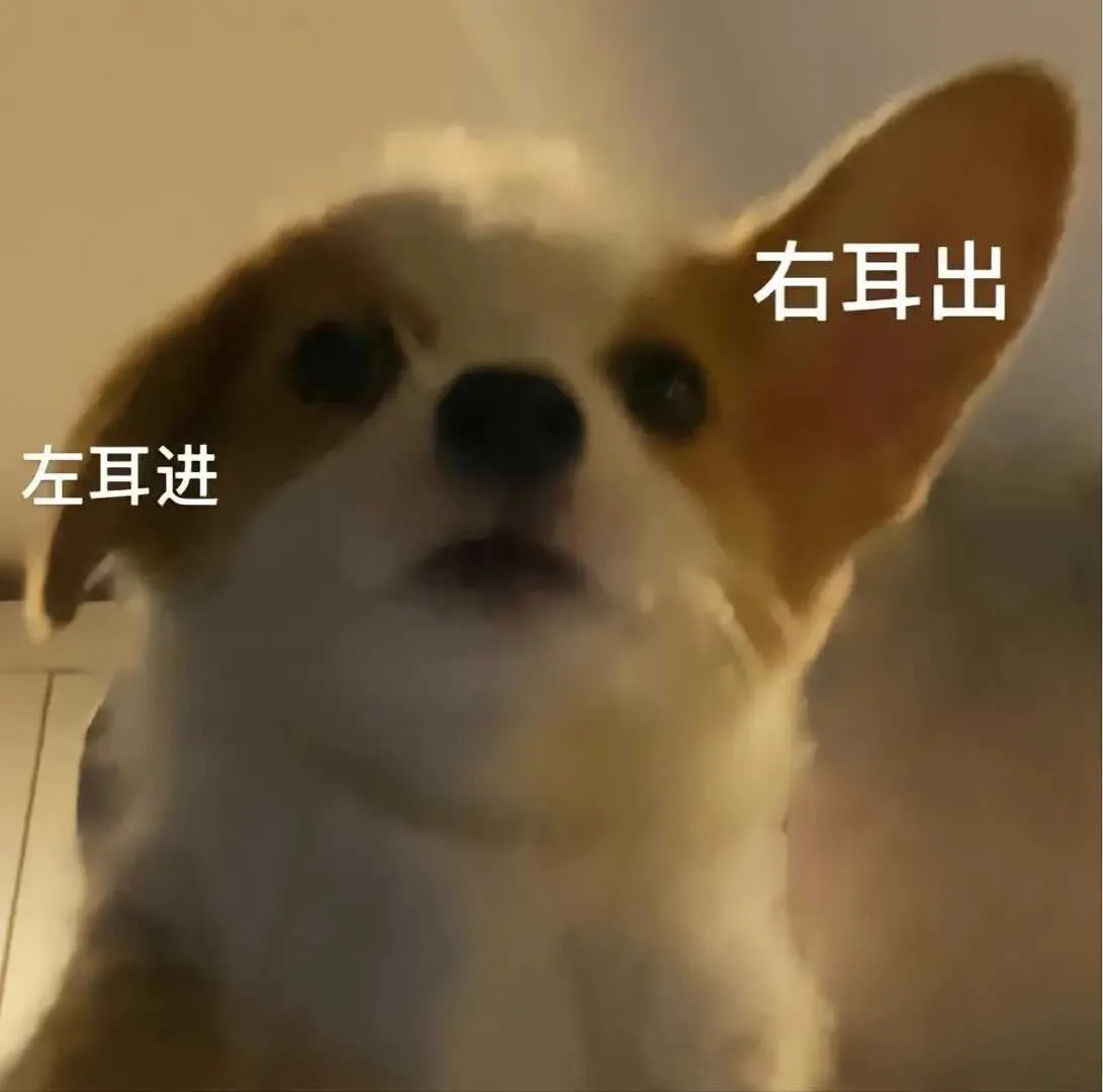 cc60b4c464fd9a175d5c6aa6fbfc7da5.webp
