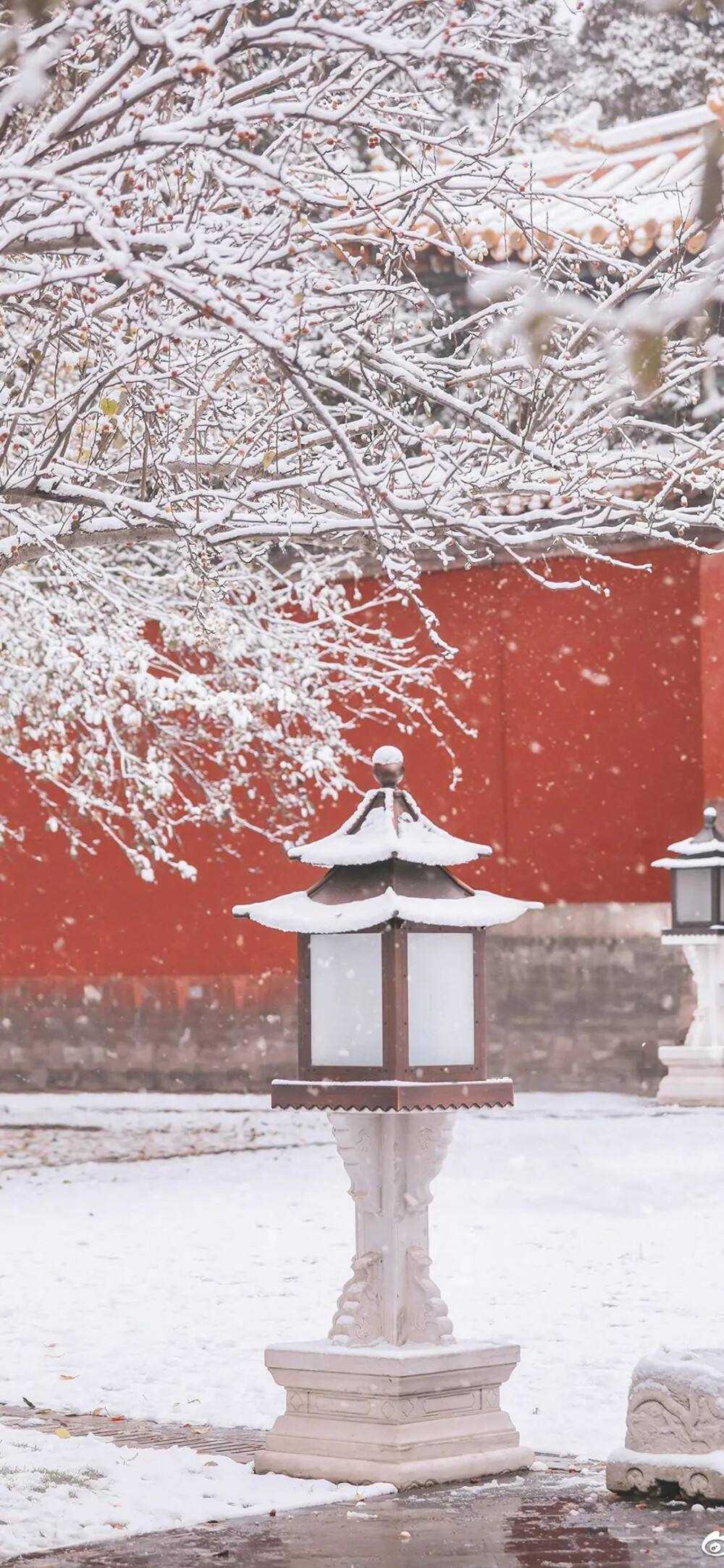 搜图神器_1735204566871.webp