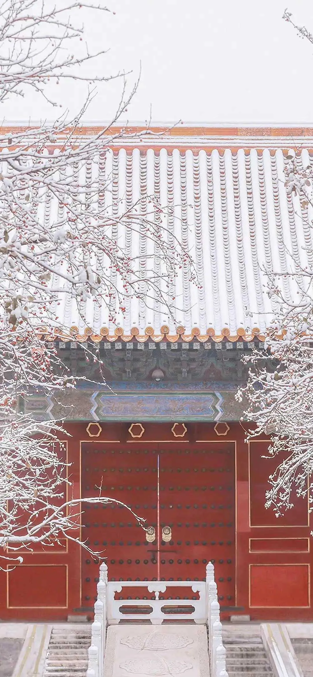 搜图神器_1735204540418.webp