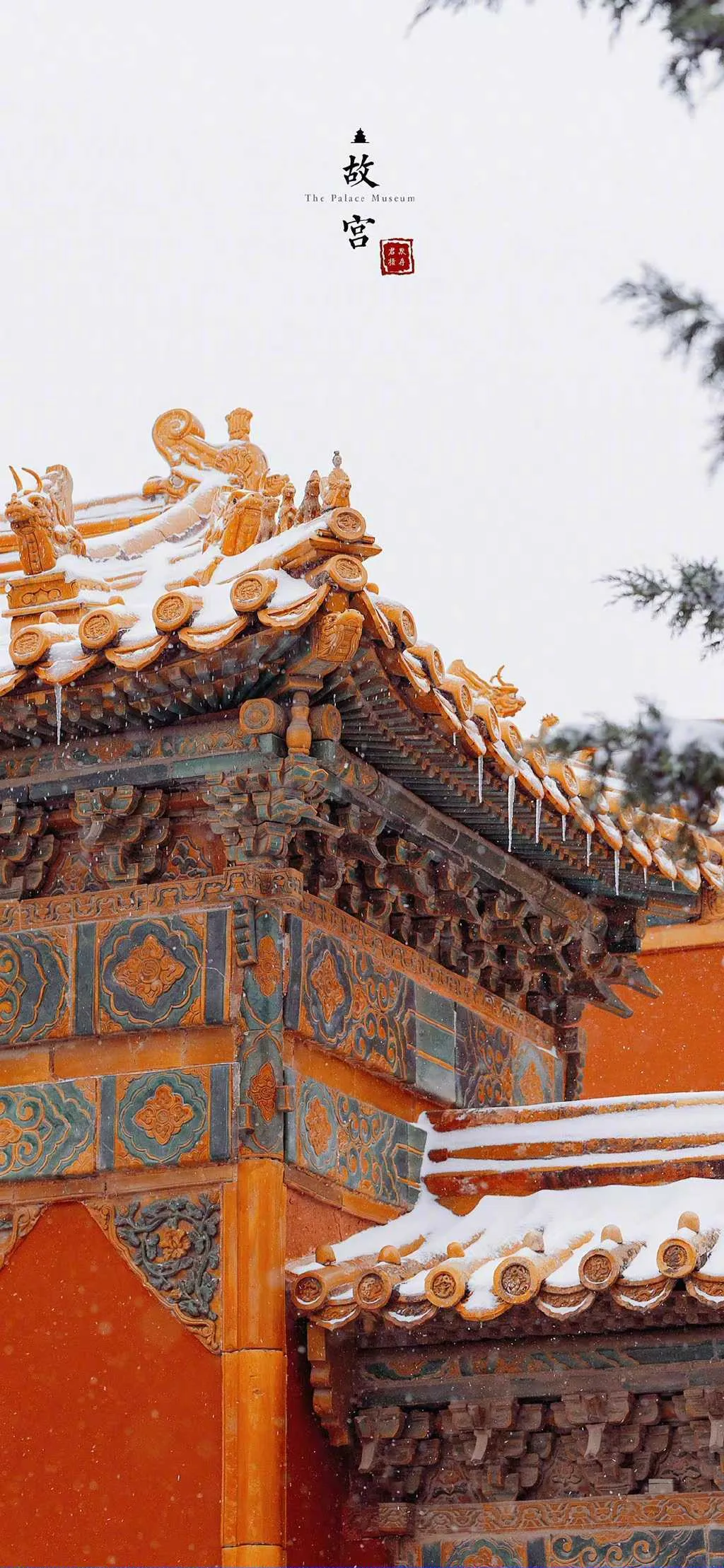 搜图神器_1735204481342.webp