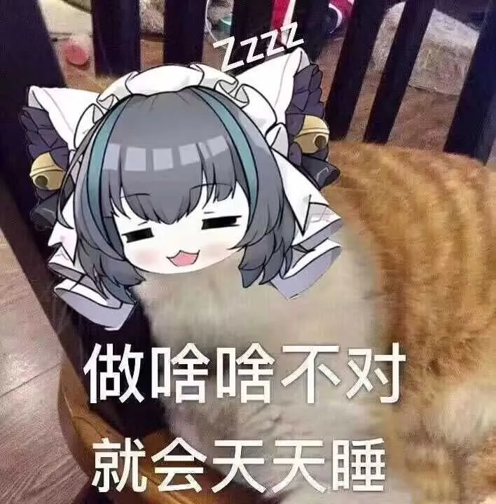 1735208366516.webp