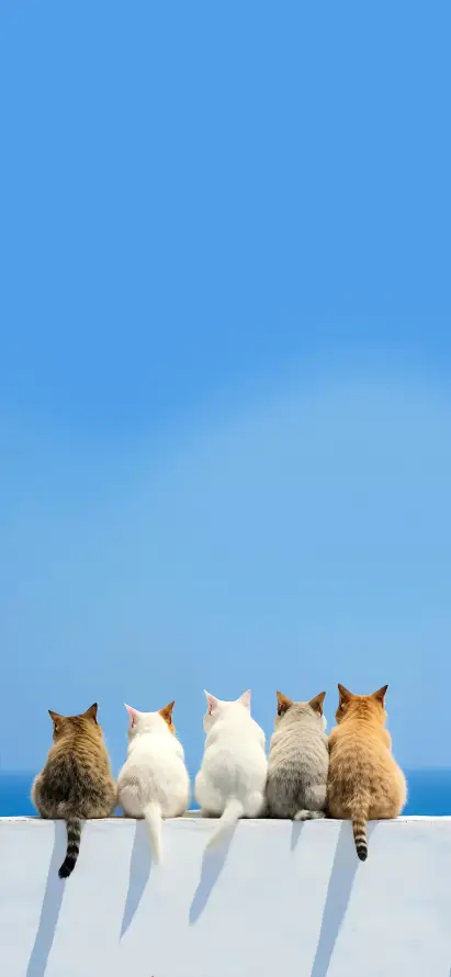 1735255957108.webp