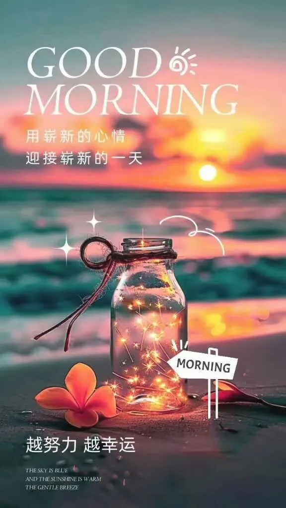 IMG_20250106_082034.webp