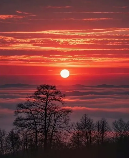 1000008833.webp