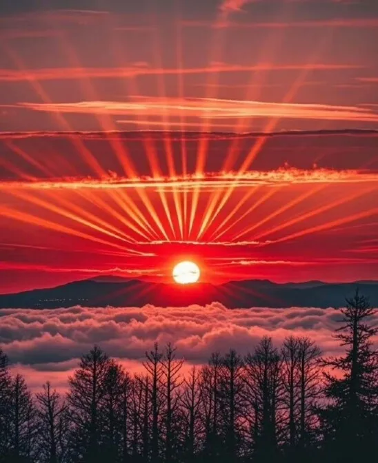 1000008835.webp