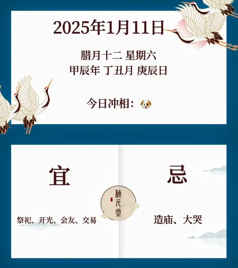 1000009155.webp