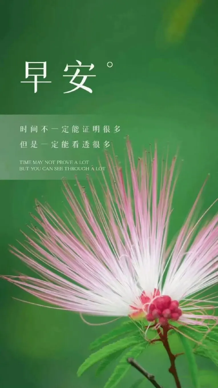 1000009296.webp