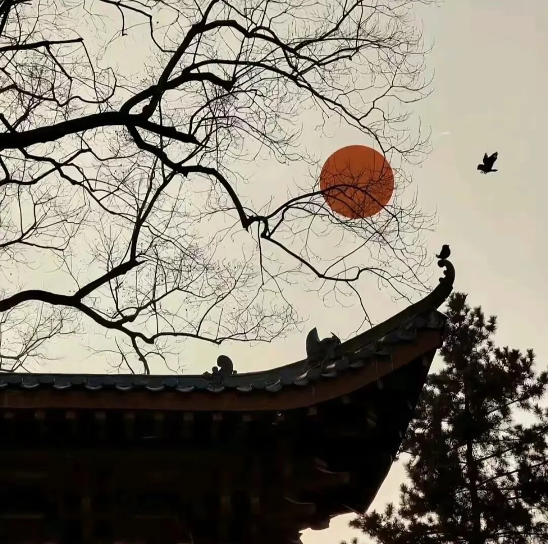 img-1017003286_1736331679032.webp