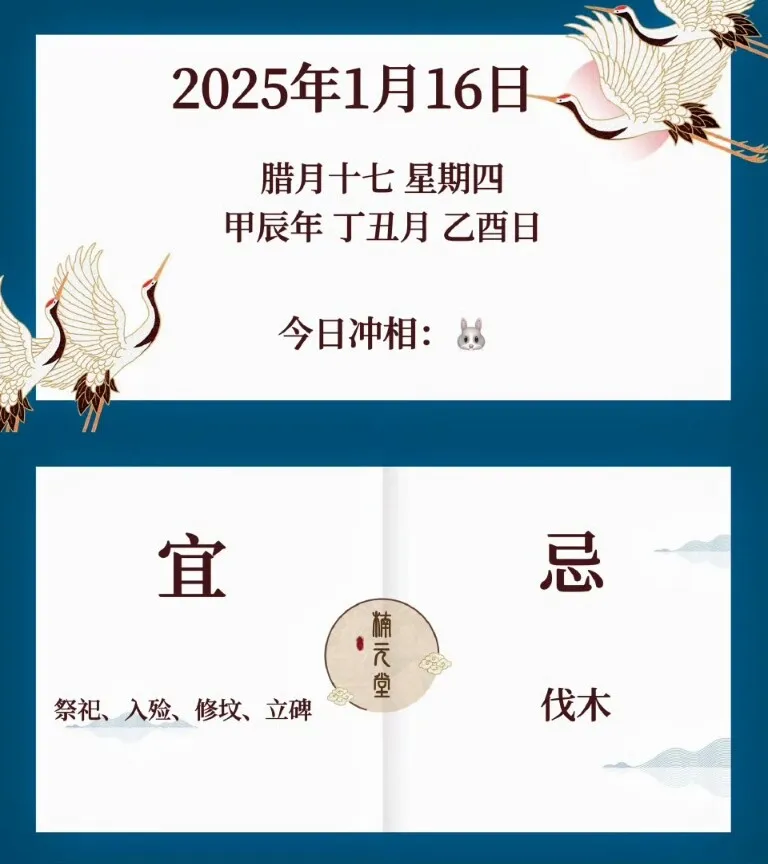 1000009327.webp