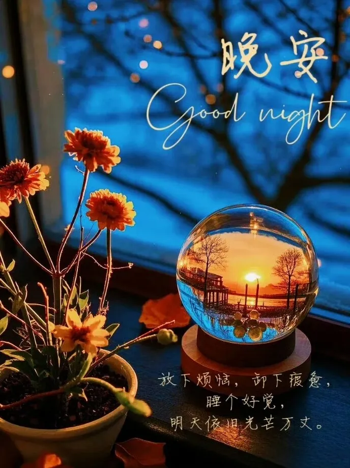 1000009331.webp