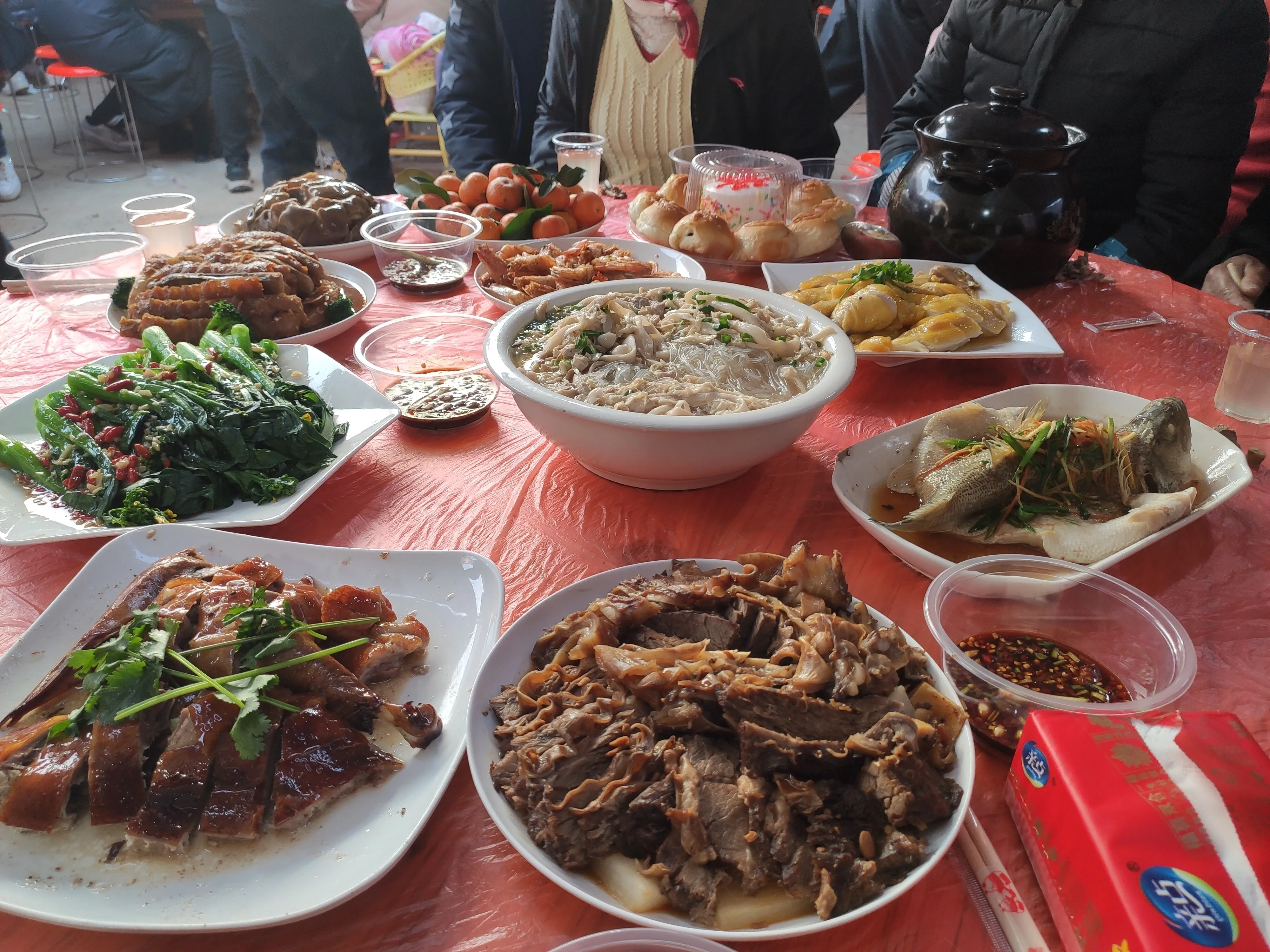 IMG_20250110_173957.webp