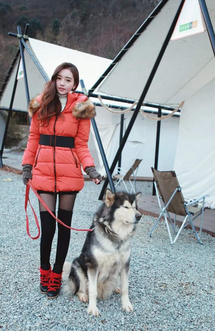 (CF0FC).webp