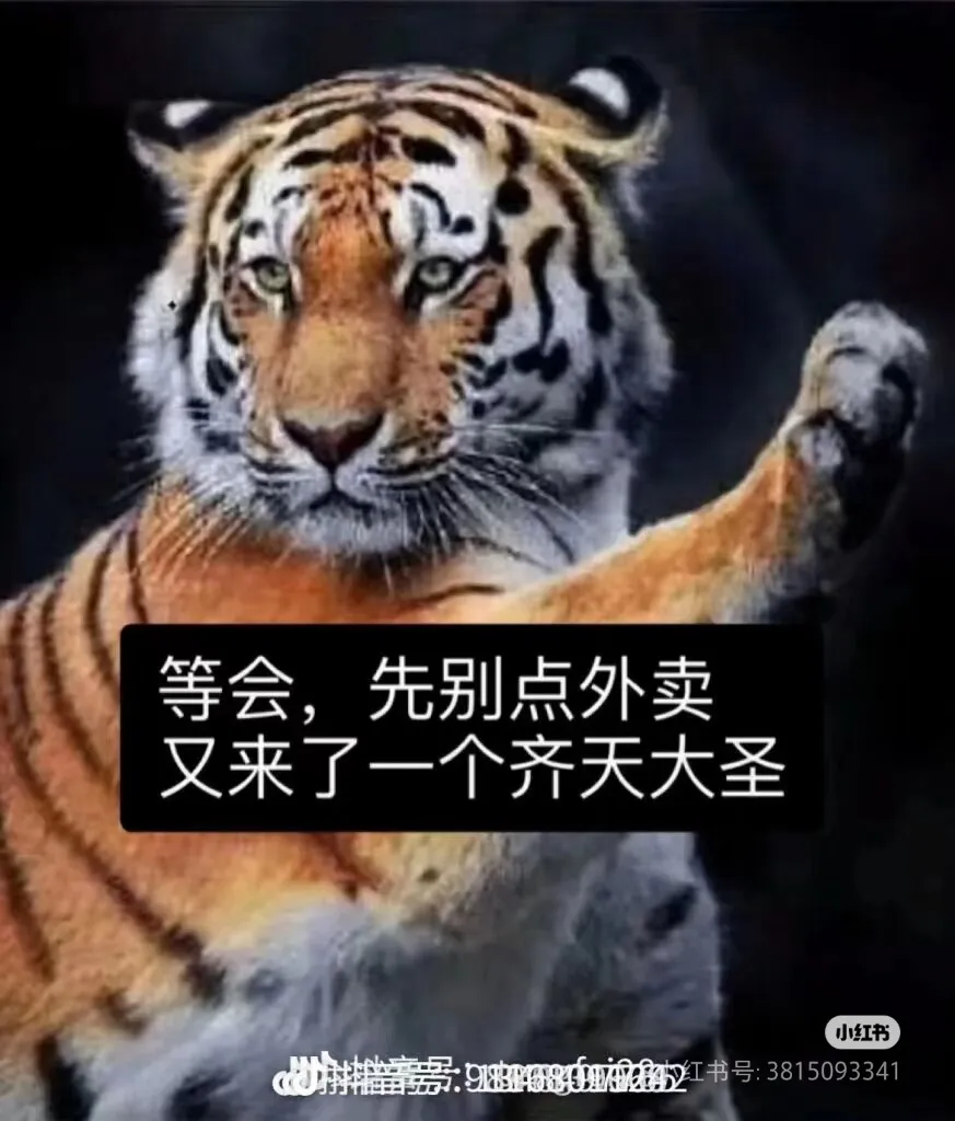 Camera_XHS_17242437433441040g2sg316m7dds30od05oo8bljjovaq06bc6ao.webp