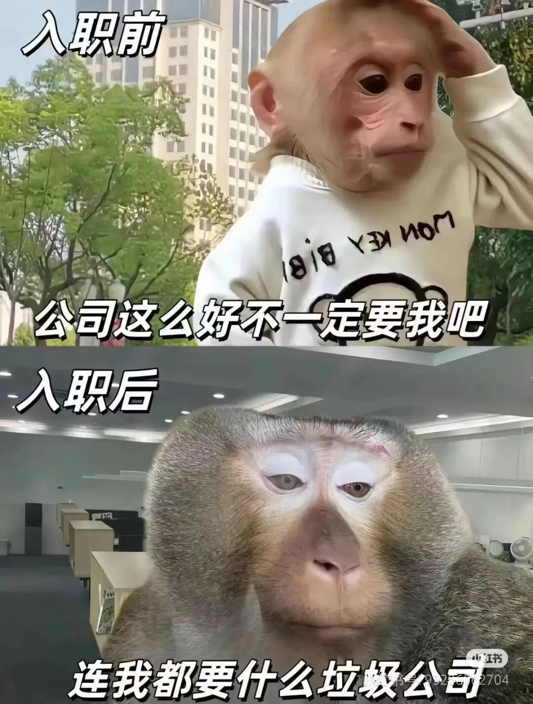 Camera_XHS_17234309922651040g2sg3166mg0e7hebg5pjfr2kguf7cg90bhtg.webp