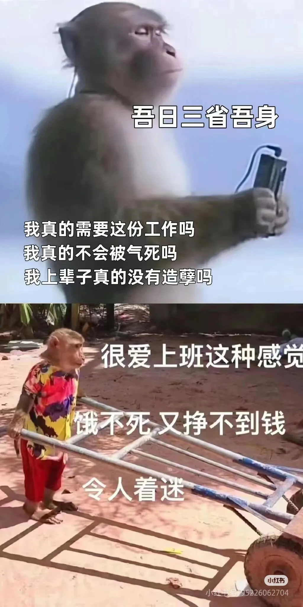 Camera_XHS_17234309838021040g2sg3166mg0e7he9g5pjfr2kguf7c6348m6g.webp