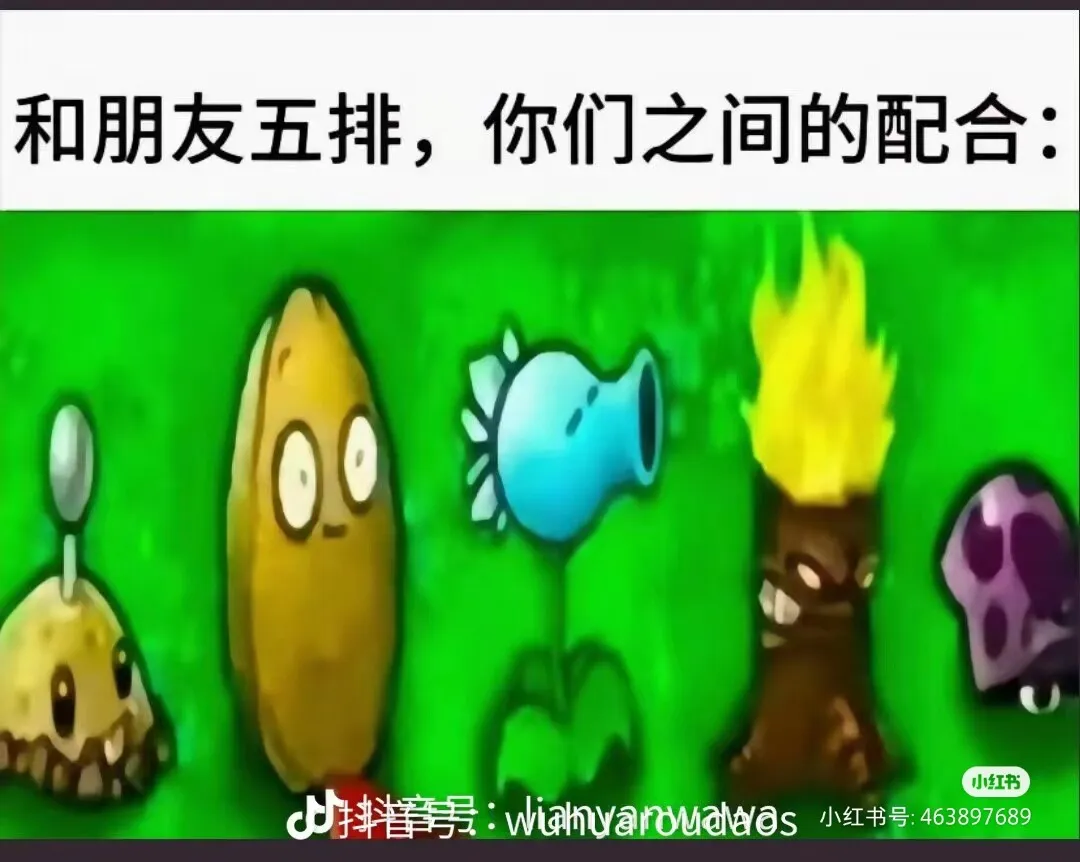 Camera_XHS_1721478318665.webp
