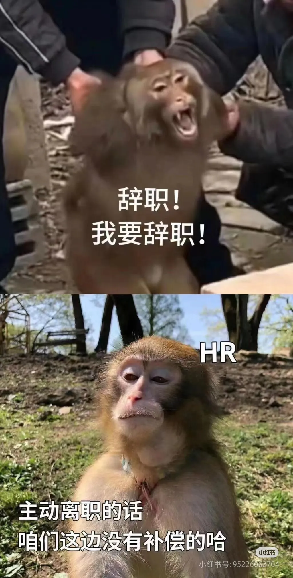 Camera_XHS_17234309800241040g2sg3166mg0e7heag5pjfr2kguf7c7bg2s20.webp
