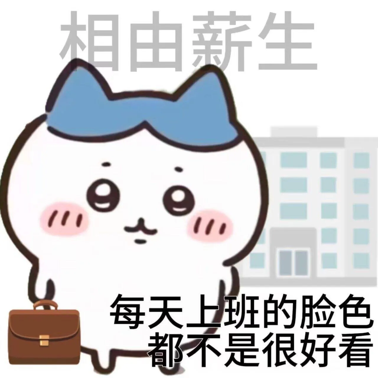 mmexport1717377982071.webp