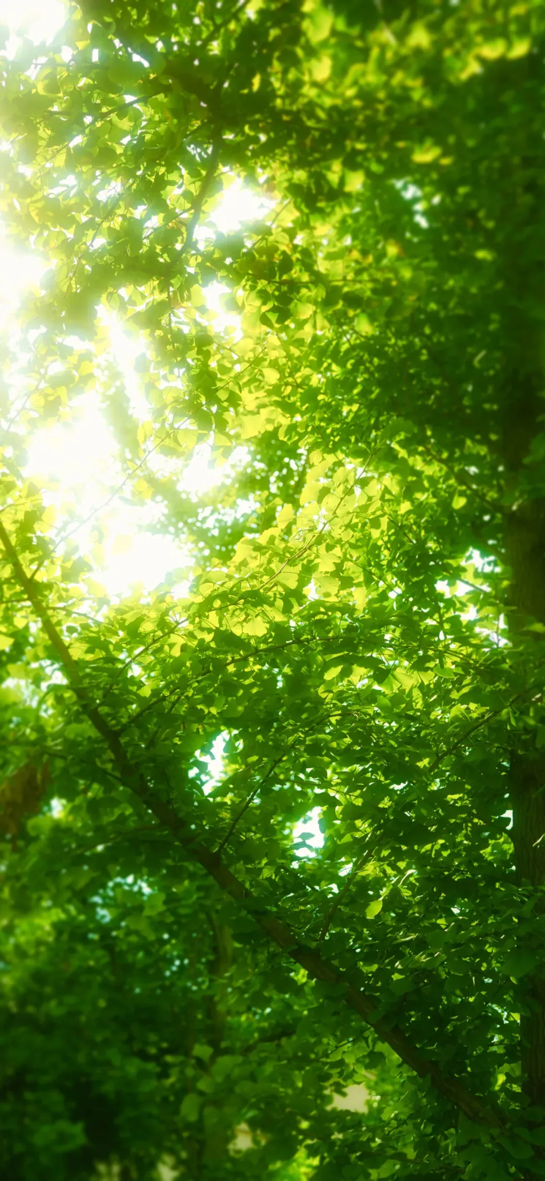 b7d598b539207813aec2a56ad399bcfe.webp