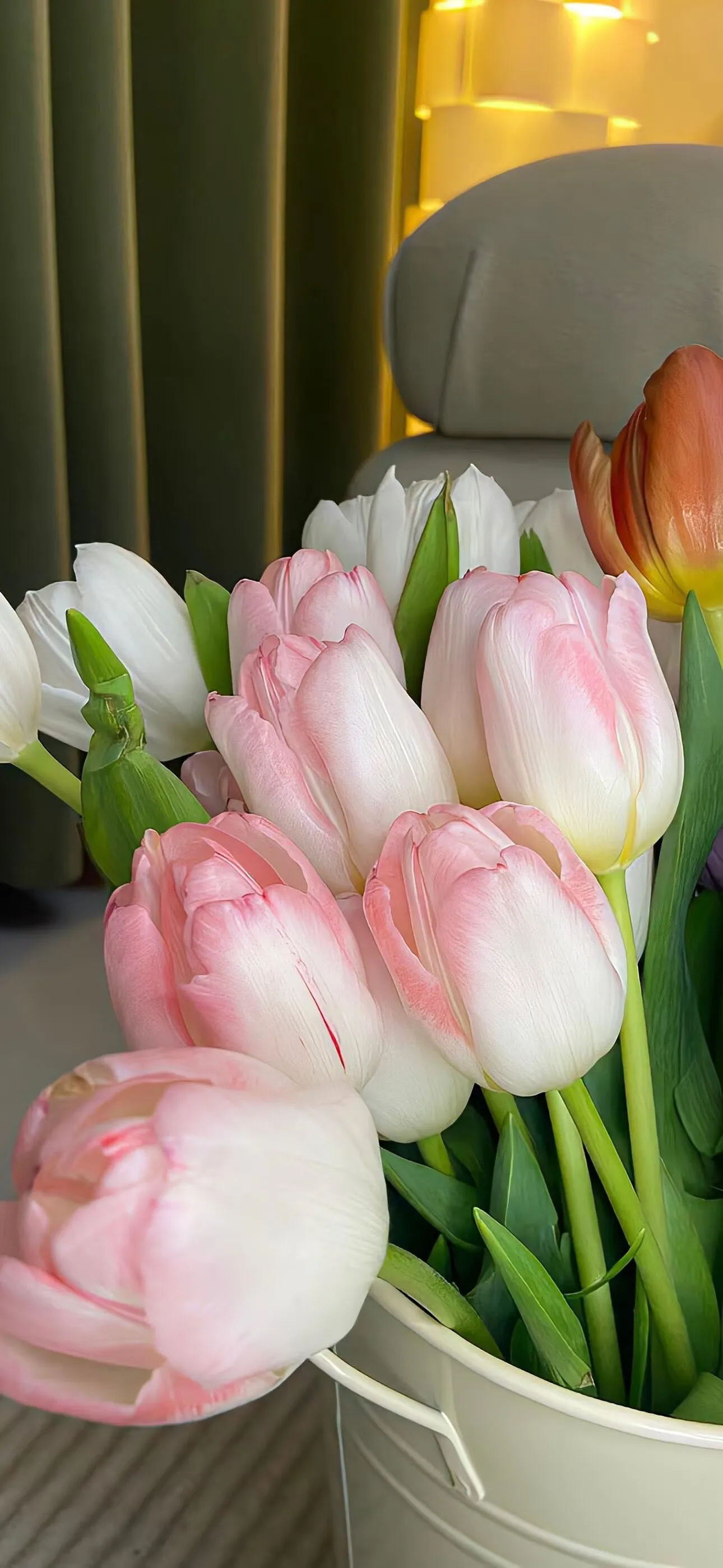 IMG_20250214_011401_310.webp