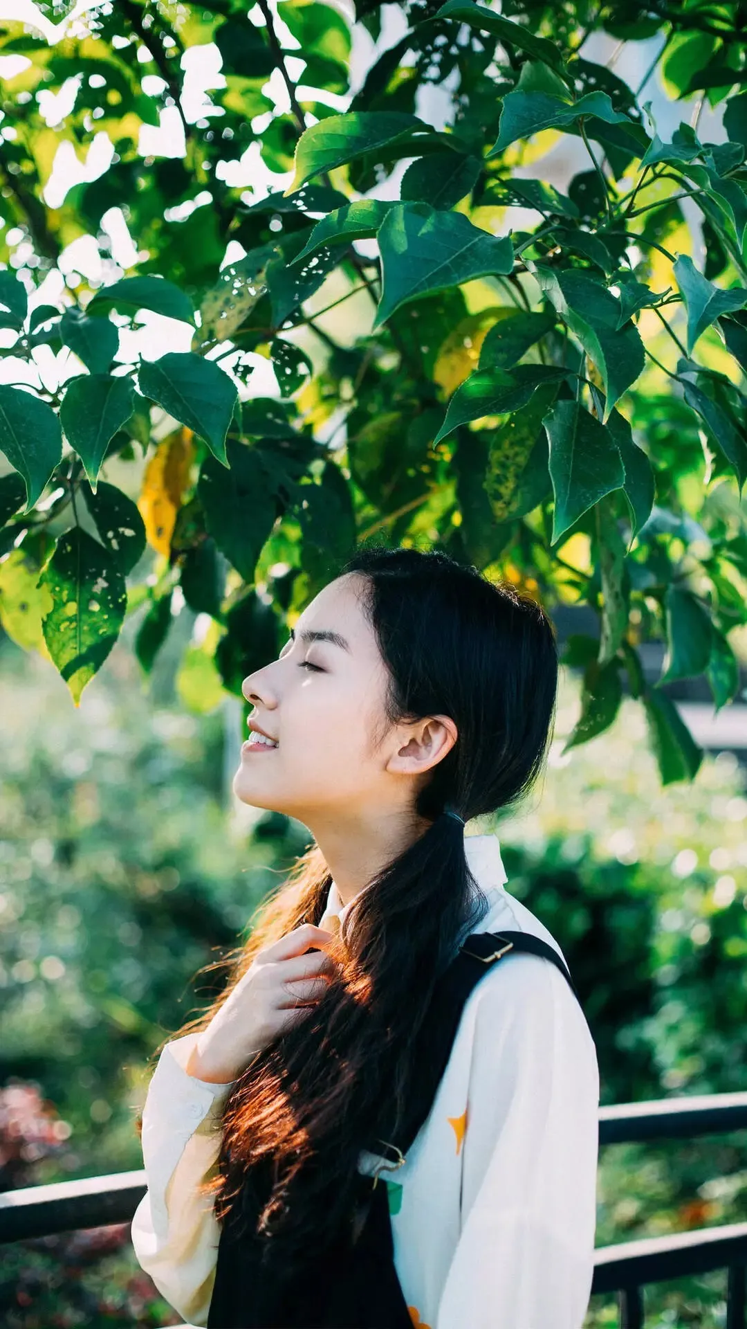 绿荫_&_c5d12f16-3639-44ed-82f1-e0928b8c2546.webp