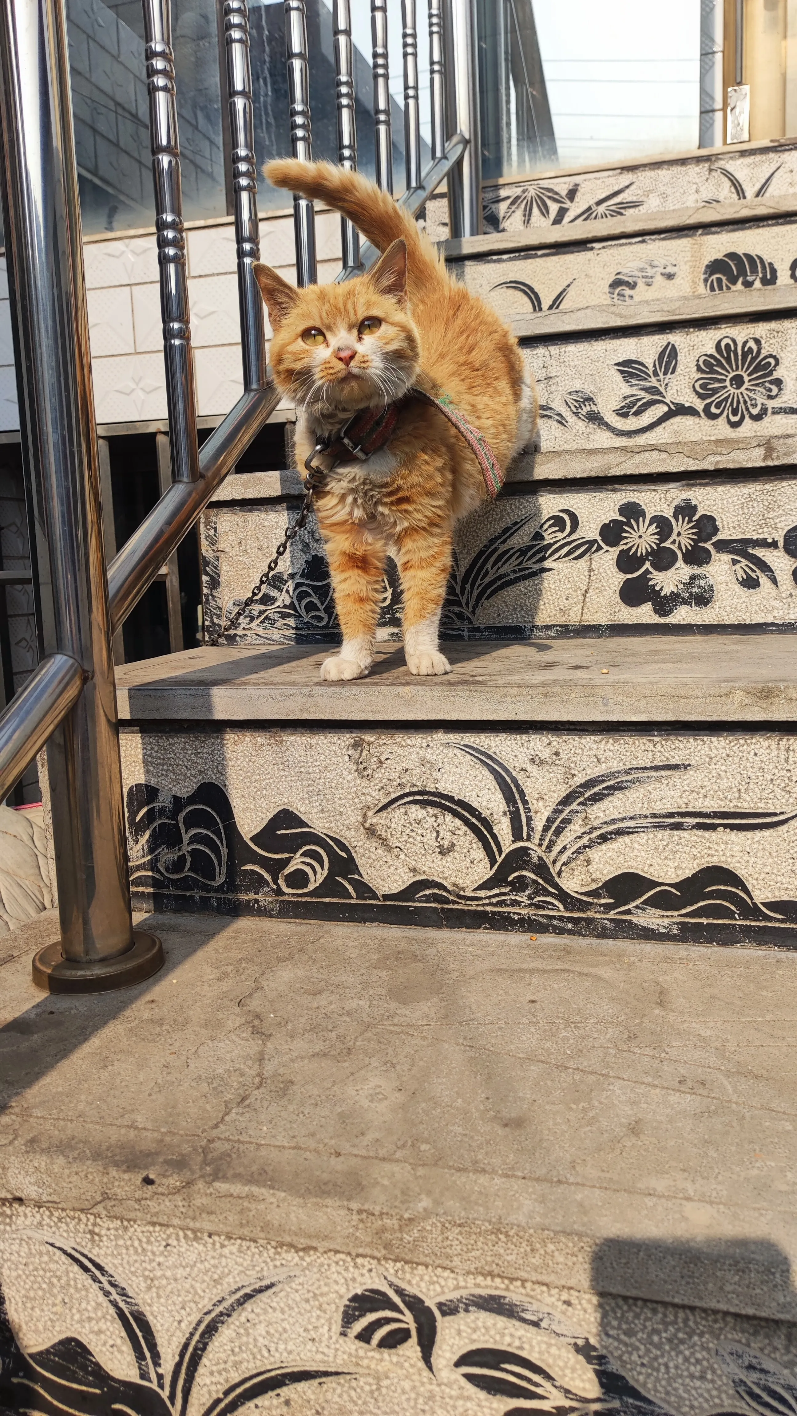 IMG_20250130_130932.webp