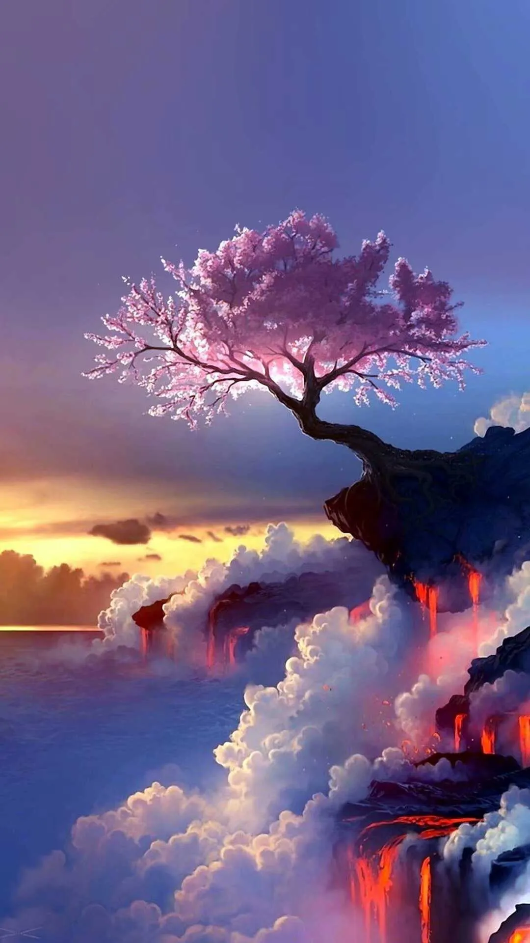 1589362515389.webp