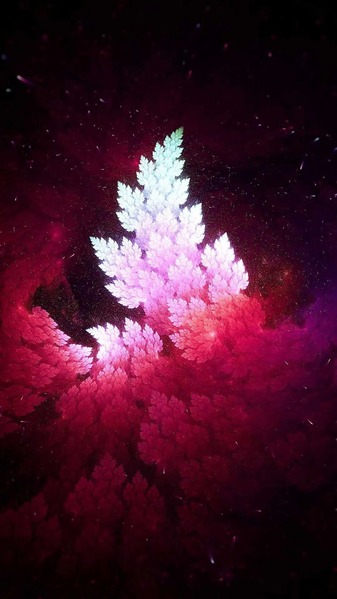 1589362521298.webp