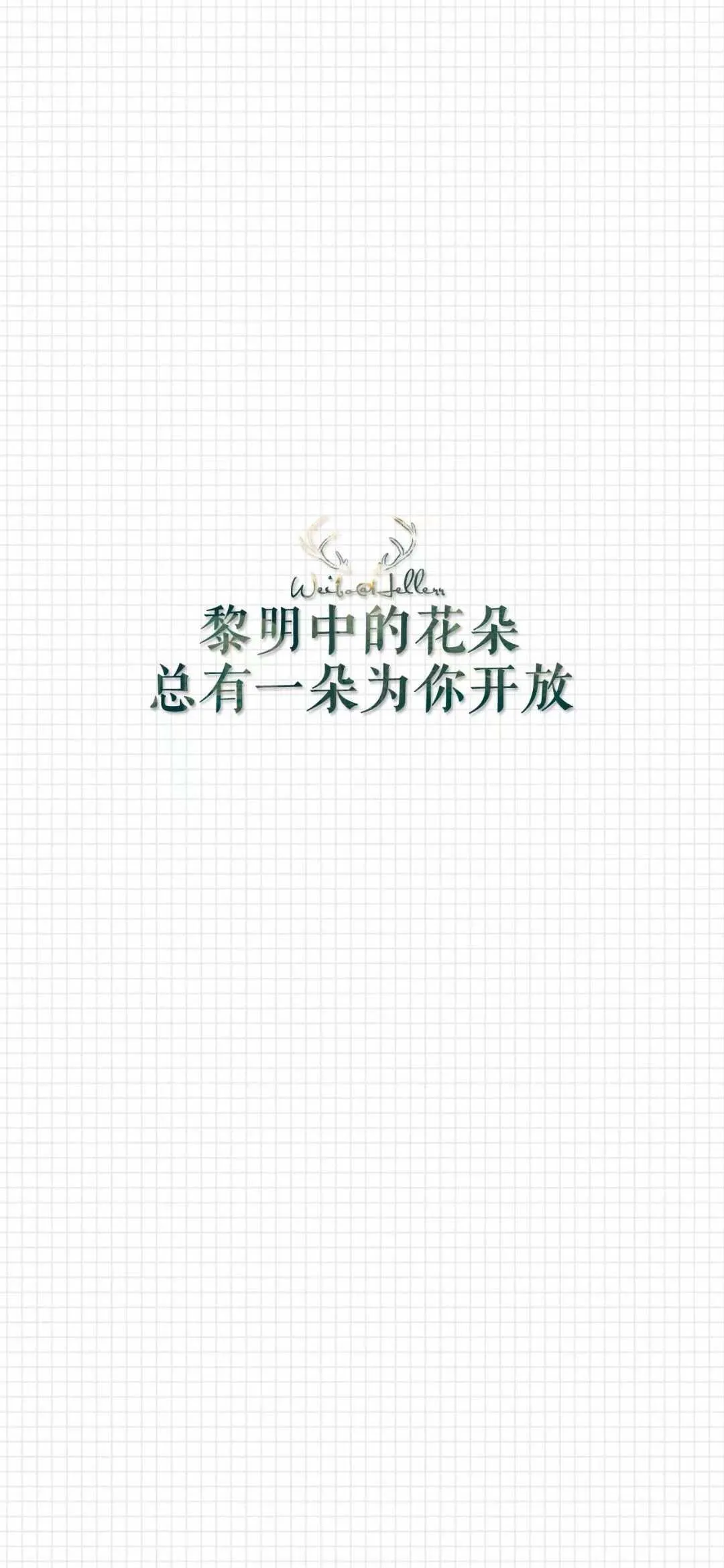 1589362268994.webp