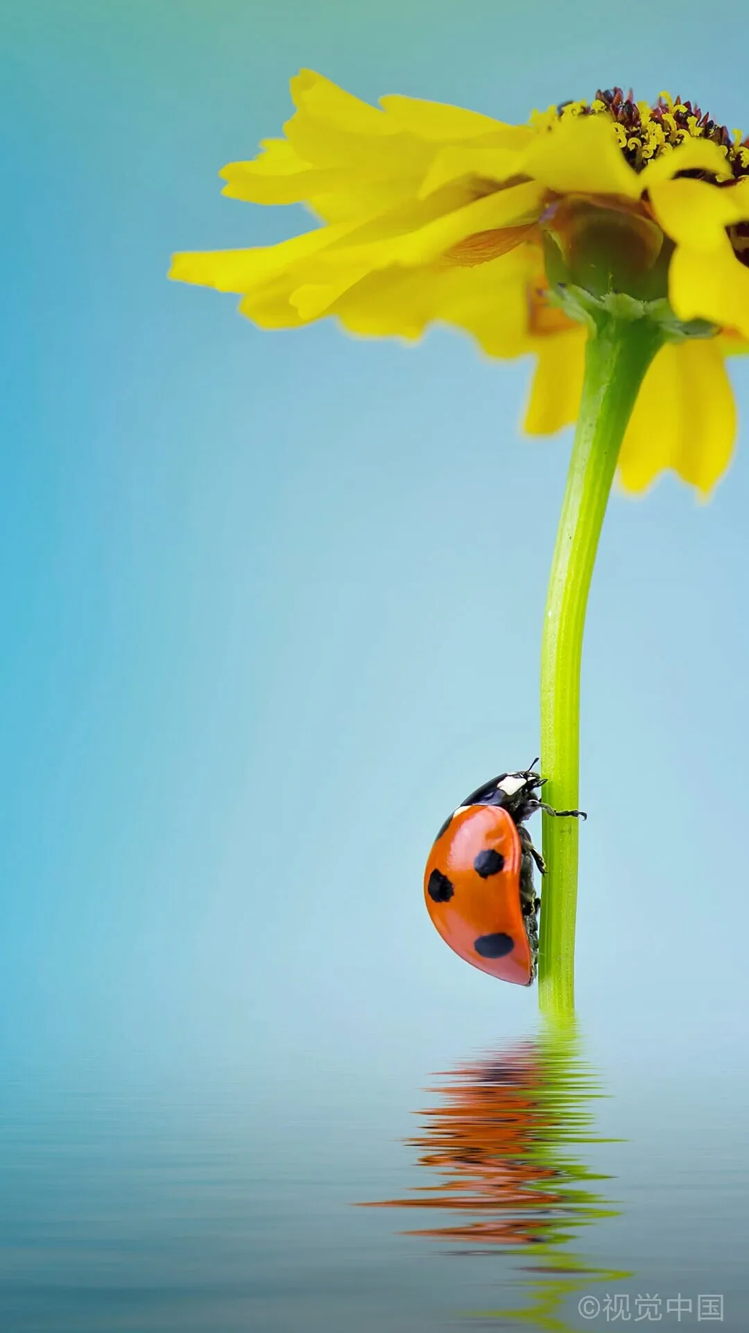 I00013149.webp